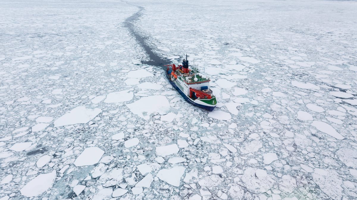 Forscher haben auf einer Expedition durch die Arktis neue Entdeckungen gemacht.