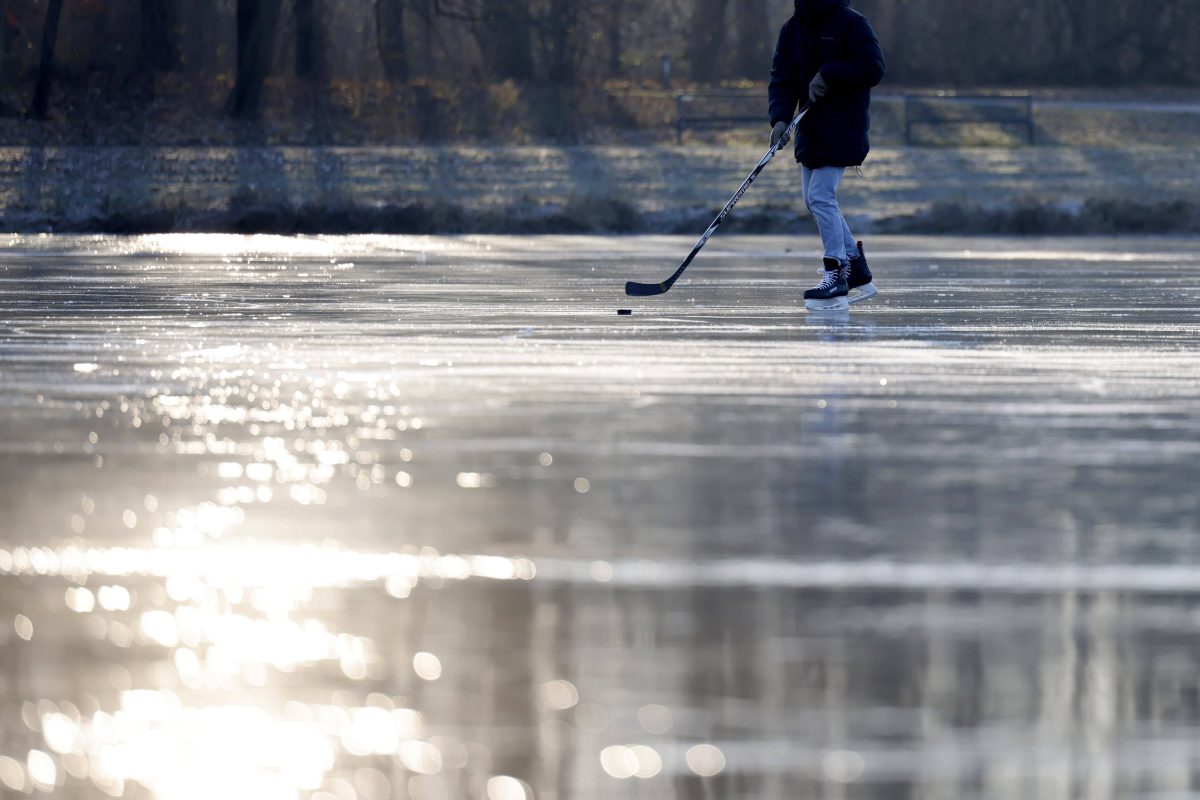 Duisburg: Eislaufen im Stadtpark? Stadt mit deutlicher Ansage
