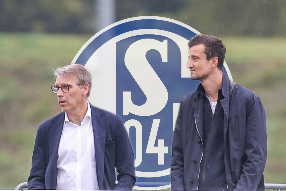 FC Schalke 04: Tillmann radikal! Neuer S04-Boss rasiert Knäbel-Plan – „Wird so nicht funktionieren“