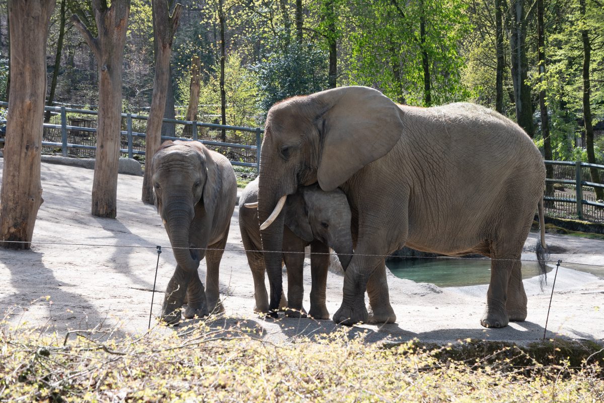 Zoo Wuppertal