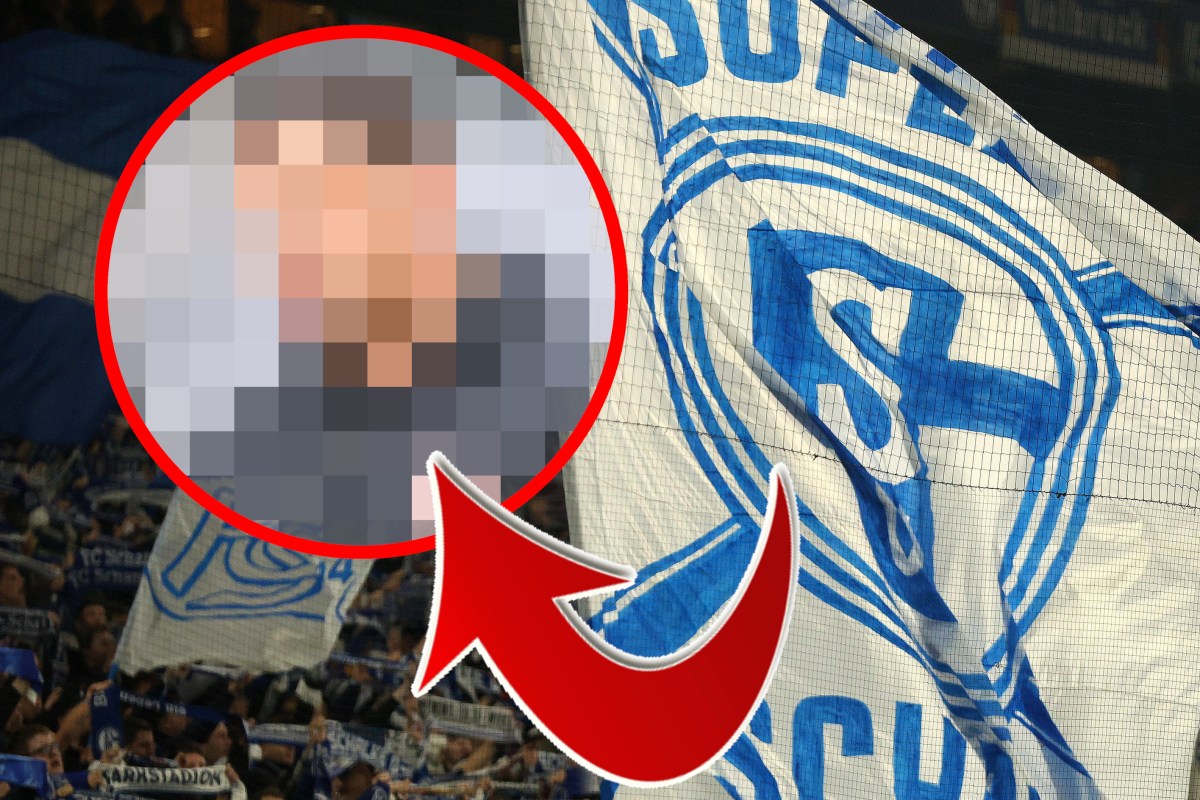 Da gucken auch die Fans des FC Schalke 04 verdutzt.