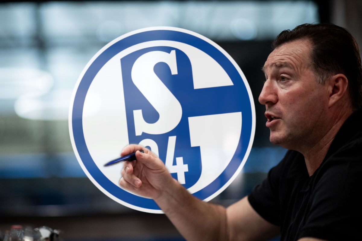 FC Schalke 04: Wilmots-Worte lassen Fans aufschrecken – geht S04 ein großes Risiko ein?