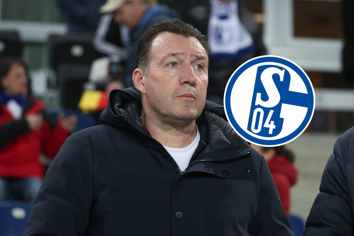 FC Schalke 04 – Transfer-News und Gerüchte: Nächster Neuzugang in den Startlöchern? ER soll kommen