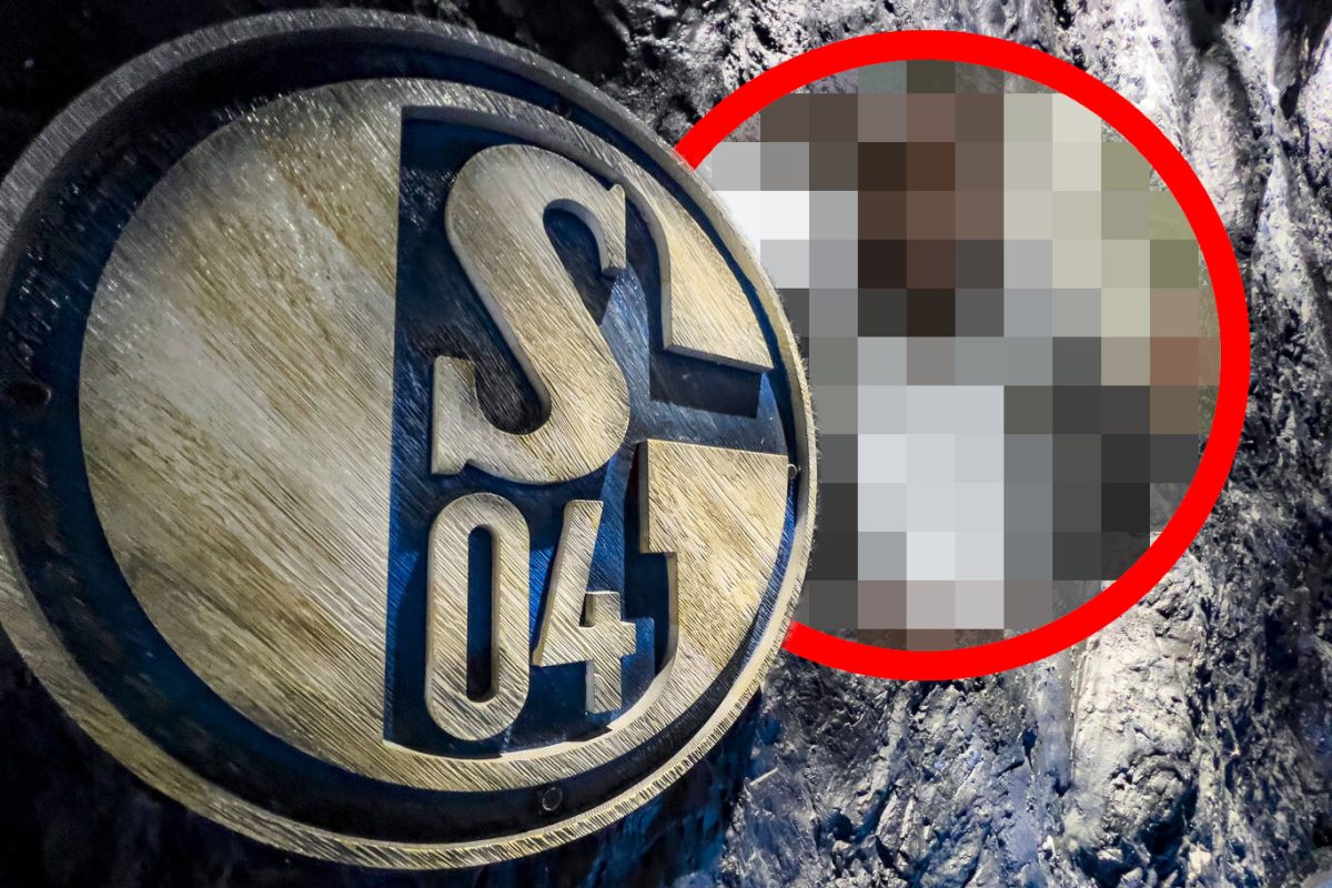 FC Schalke 04: Paukenschlag steht kurz bevor – geht jetzt alles ganz schnell?