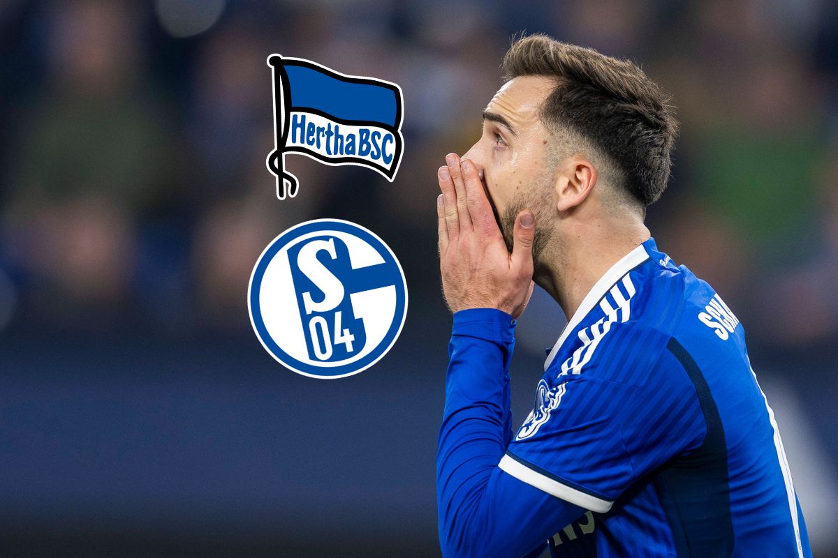 FC Schalke 04 baff – kurz vor dem Hertha-Spiel kann S04 DAS  jetzt gar nicht gebrauchen