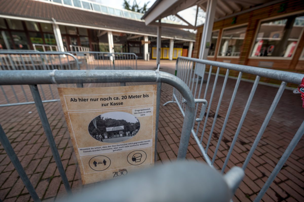 Zoo Dortmund: Faszinierender Anblick im Gehege – Besucher haut es aus den Socken! „Wahnsinn“
