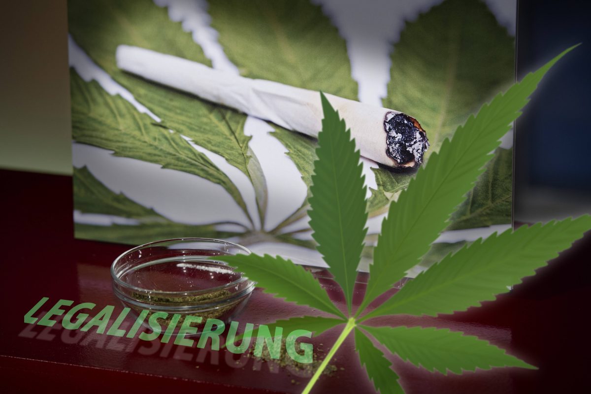 Cannabis: SO Wollen CDU/CSU Die Legalisierung Doch Noch Stoppen ...