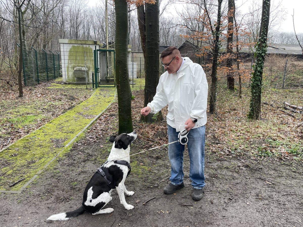 Duisburg: Haustier-Betreuung geht durch die Decke – doch dieses Problem zwang zum Umdenken