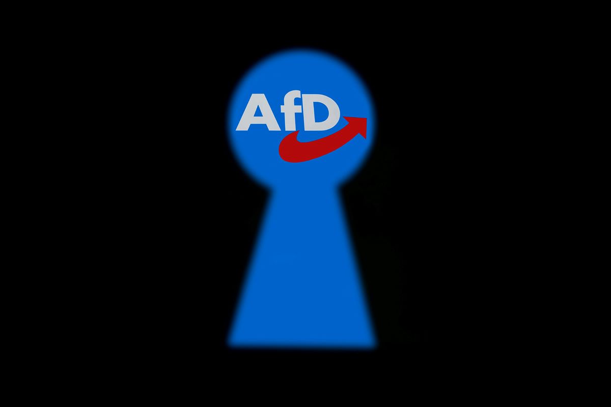 Soll ein AfD-Verbot kommen? Grünen-Politiker wird deutlich