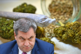 Markus Söder vor einem Joint und Cannais-Blüten.