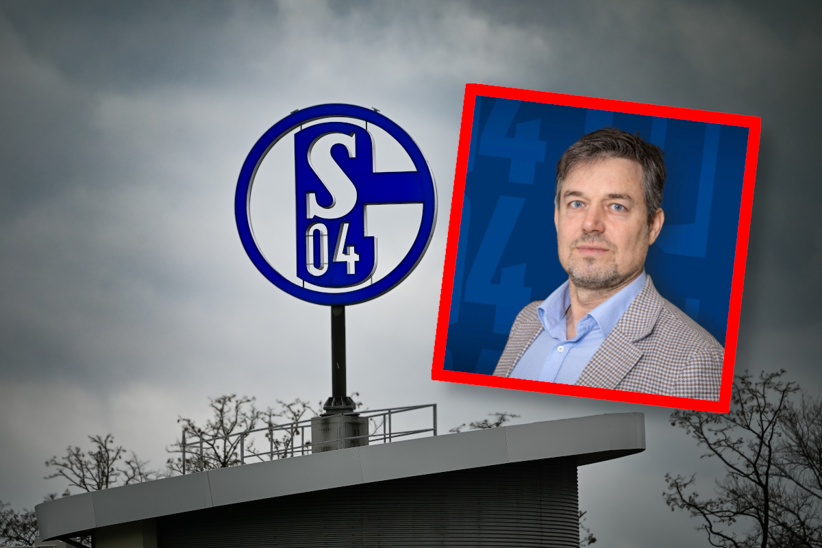 FC Schalke 04: Tonello nur der Anfang – HIER krempelt S04 alles um