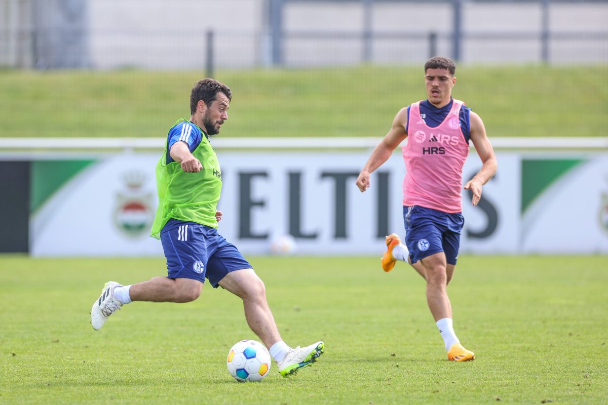 FC Schalke 04: Amin Younes