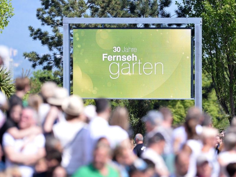 ZDF-Fernsehgarten: Wo und wann läuft die beliebte Sendung?