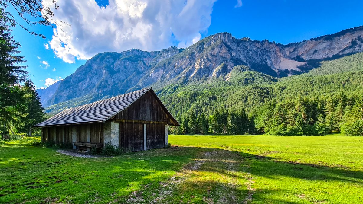 Urlaub in Österreich: Dieser Anblick macht Touristen rasend