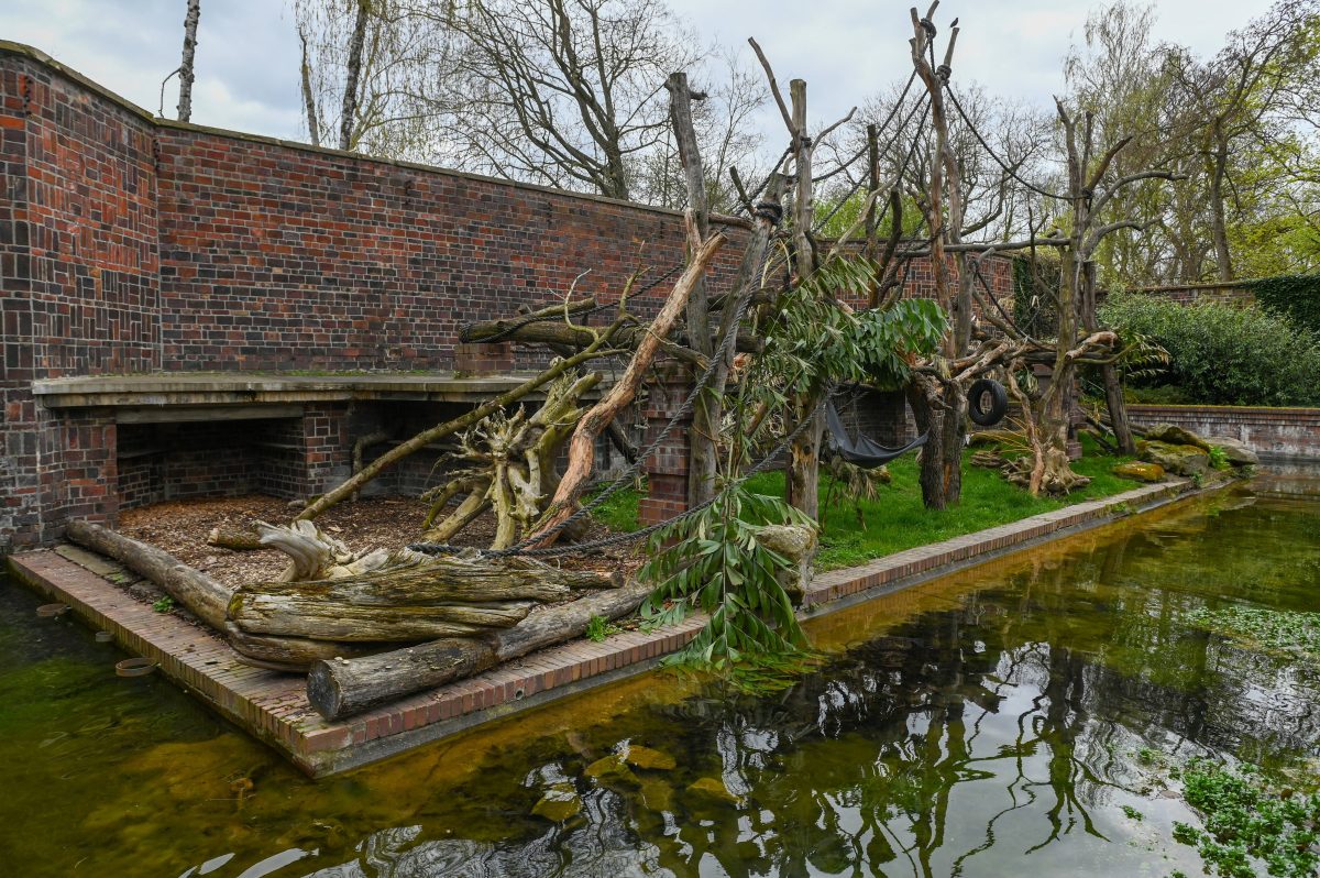 Zoo in NRW: Besucher wundern sich, weil sie ihre Lieblingstiere nicht mehr finden können.