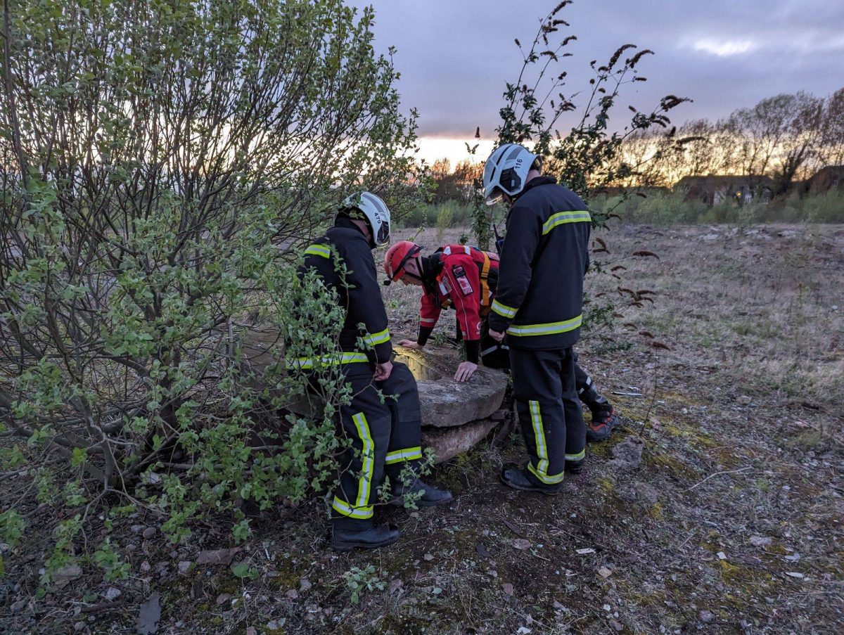 Dortmund: Feuerwehr mit ungewöhnlicher Rettung.