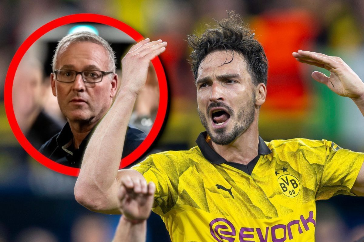 Paul Lambert sieht Mats Hummels in der Nationalmannschaft.