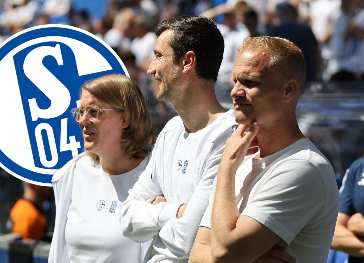FC Schalke 04 lässt die Bombe platzen – jetzt darf es jeder wissen