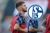 Neuzugang beim FC Schalke 04.