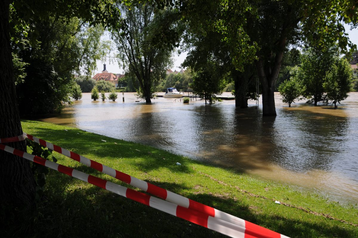 Hochwasser in Duisburg: Zahlreiche Tiere liegen tot am Ufer – ihr Anblick ist kaum zu ertragen!