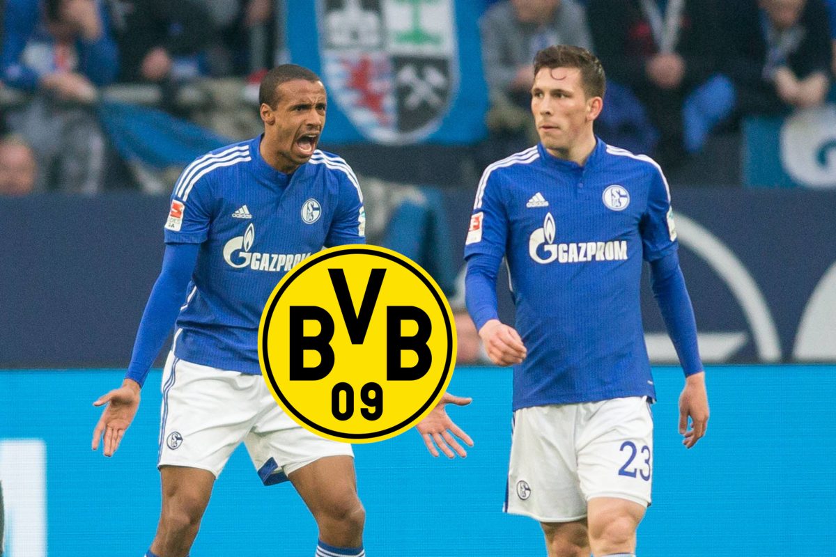 Borussia Dortmund steckt mitten in den Planungen für die kommende Saison. Greift der BVB ausgerechnet bei einem Ex-S04-Profi zu?