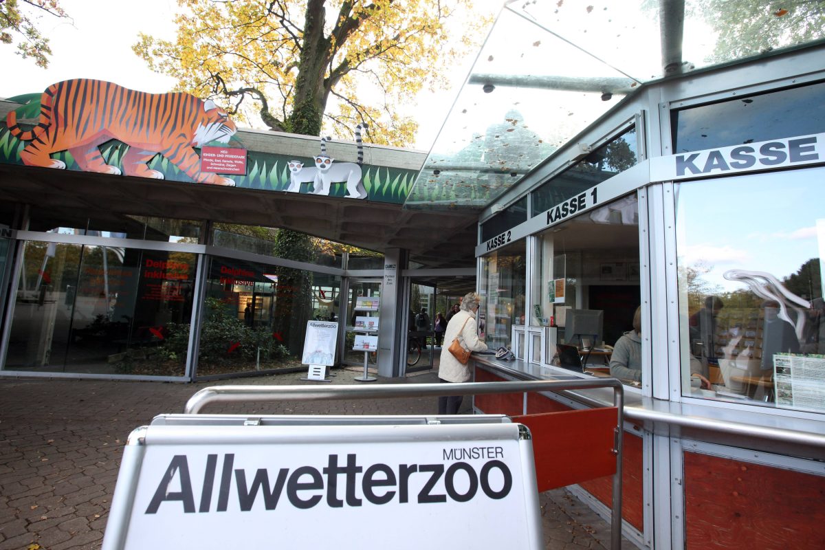 Der Allwetterzoo MÃ¼nster verkÃ¼ndet eine Ã„nderung. (Archivfoto)