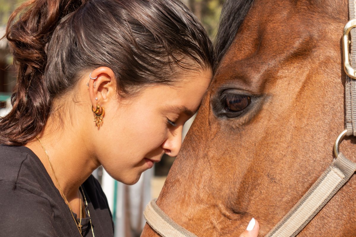 Pferde-Besitzerin sieht das schmerzhafte Drama nicht kommen – „Keine Zukunft“