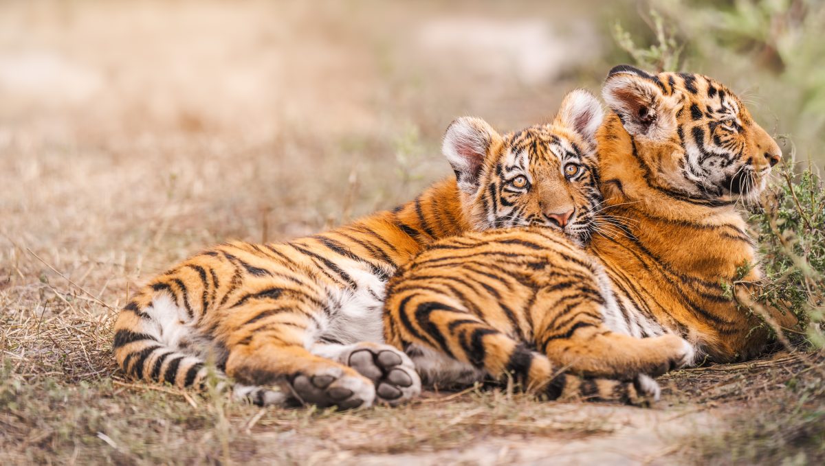 Ein Zoo in NRW teilte einzigartige Bilder