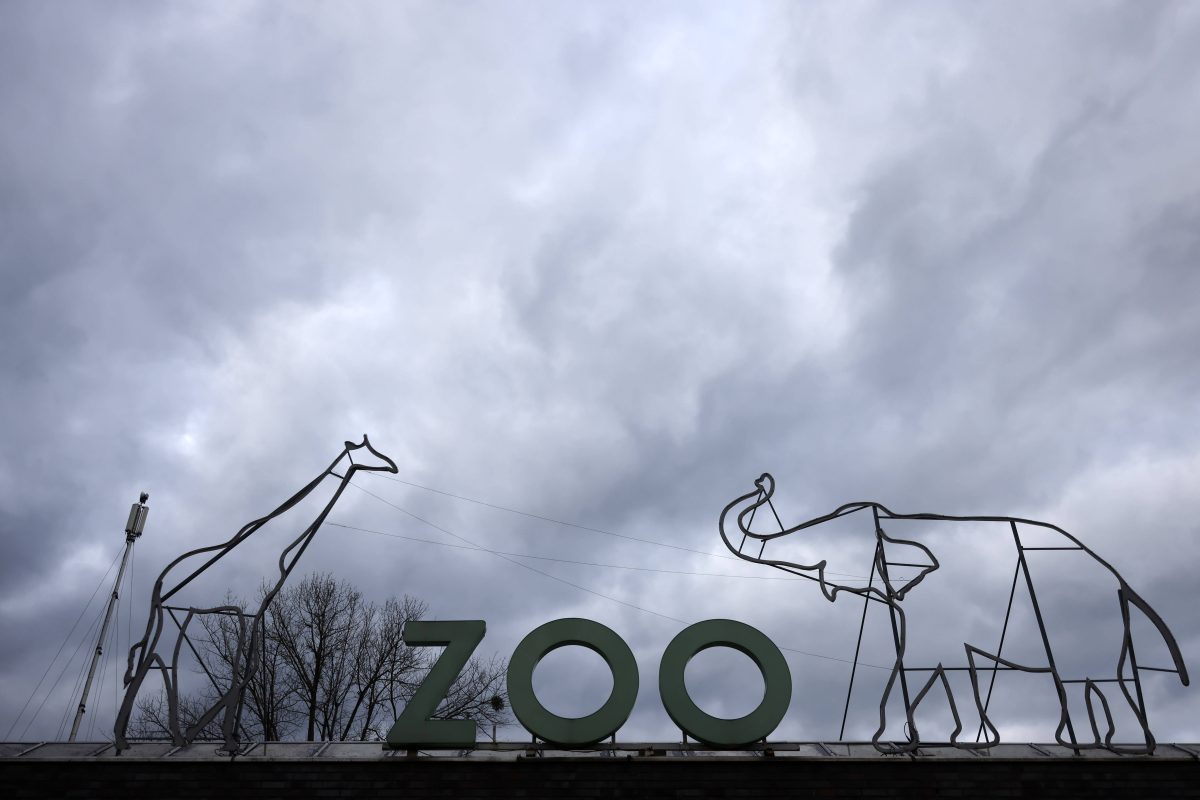 NRW-Zoo öffnet nach Ladenschluss – doch nicht alle dürfen rein