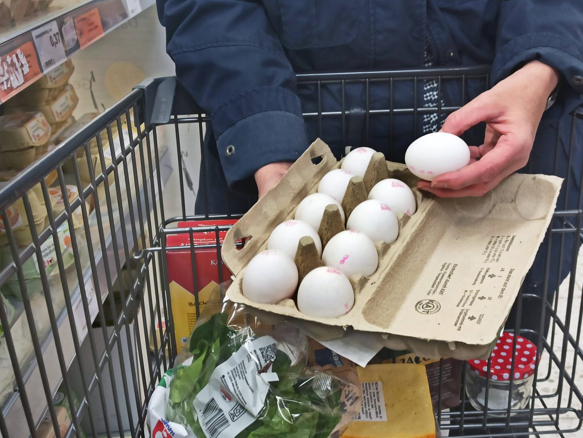 Edeka und Rewe: Kunden kaufen Eier – zuhause trifft sie der Schlag