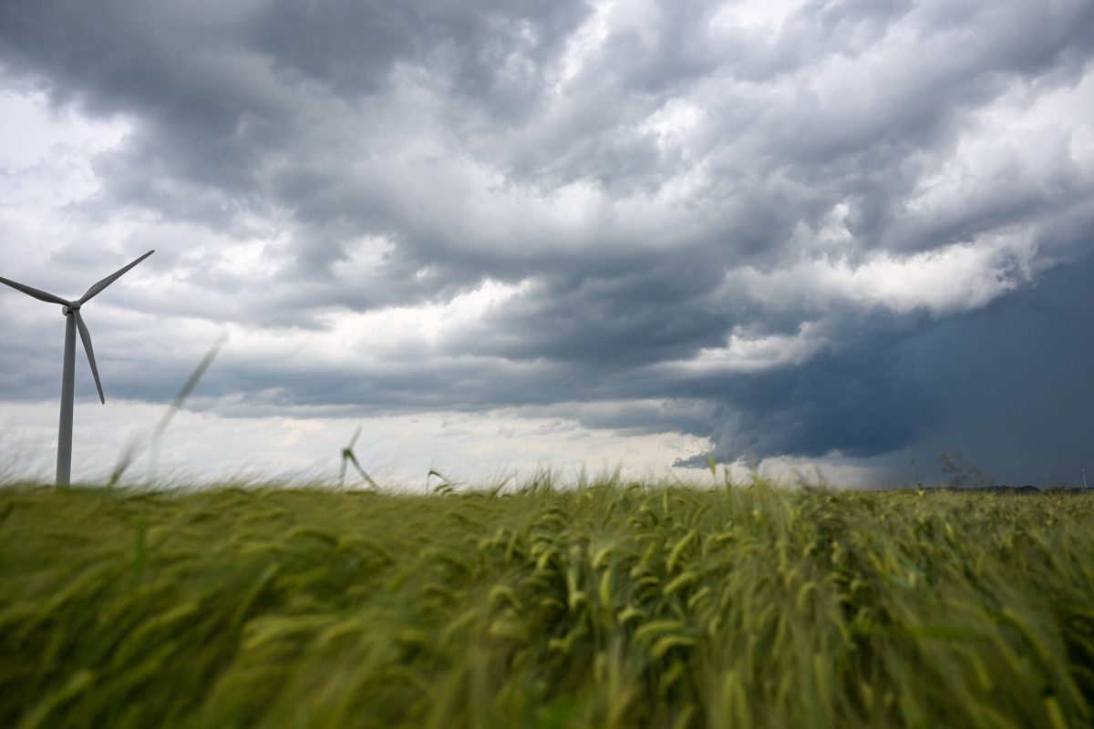 Wetter in NRW: Wetter-Chaos und Sommer adÃ©