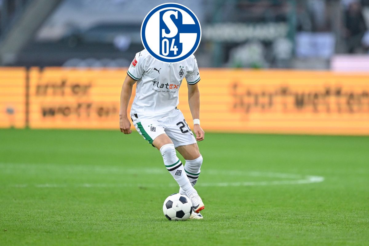 FC Schalke 04: Bundesliga-Stürmer im Visier – schnappt S04 bei IHM zu?