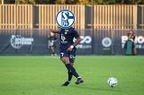 Das wäre ein Hammer! Der FC Schalke 04 soll vor der Verpflichtung eines neuen Spielers stehen. Es wäre wohl der Top-Transfer des Sommers.