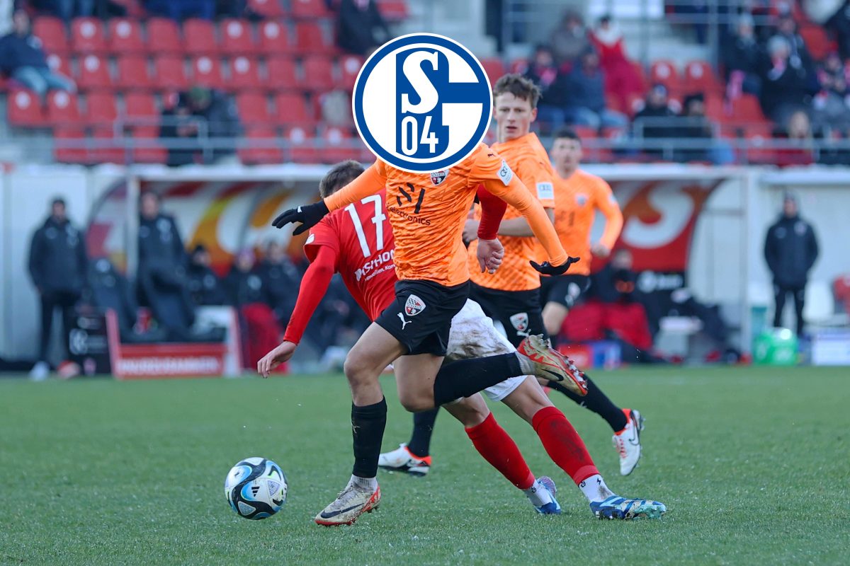 Der FC Schalke 04 ist weiterhin auf der Suche nach weiteren Neuzugängen. Ein Juwel aus der dritten Liga könnte enorm interessant werden.