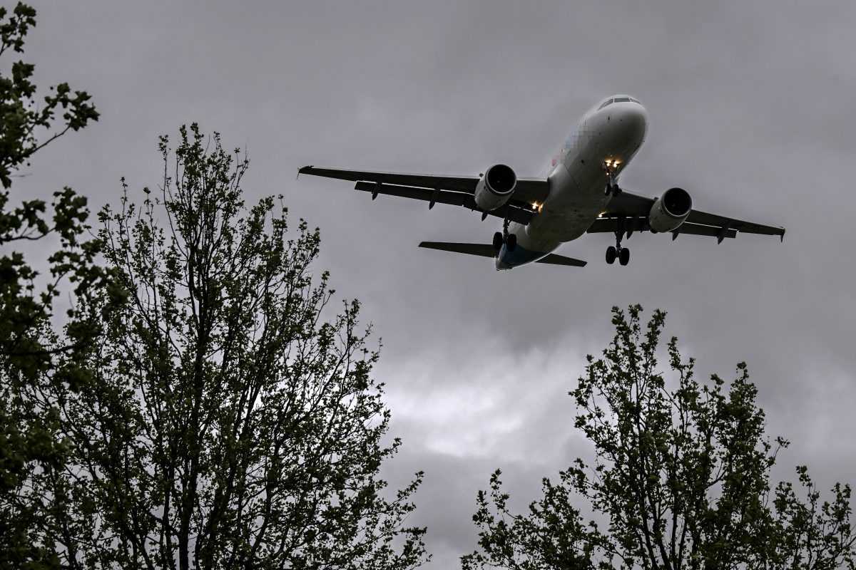 Mallorca-Star erlebt Horror-Flug: „Menschen haben gekotzt und geweint“