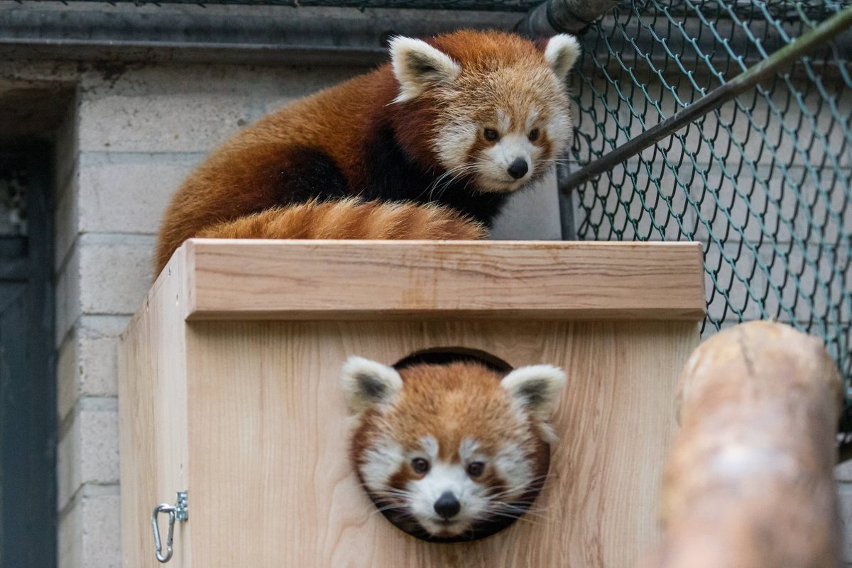 Zoo Wuppertal sorgt für Klarheit – Besucher können nicht mehr an sich halten! „Oh nein“