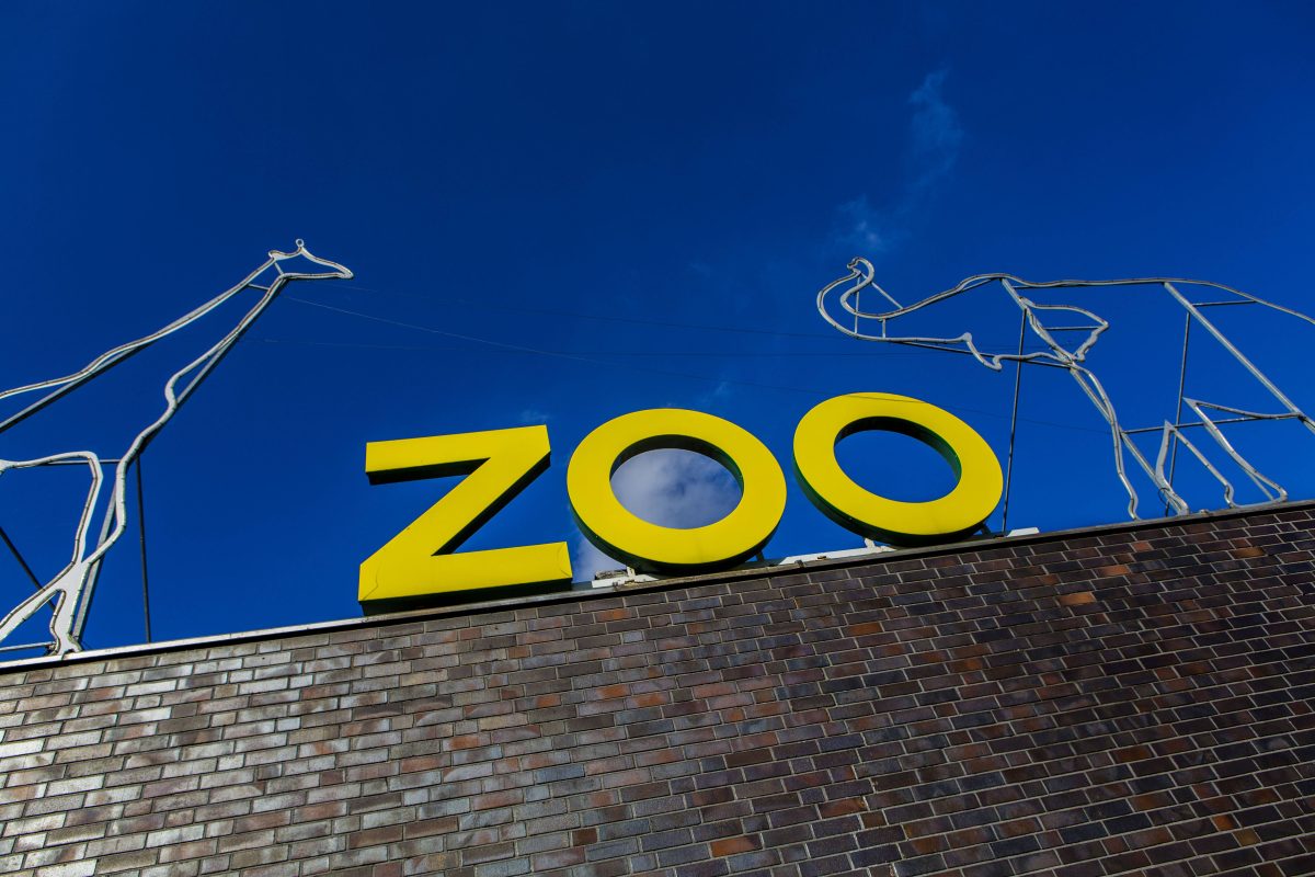 Zoo in NRW: Spektakuläre Szenen im Gehege – Besucher halten es kaum aus