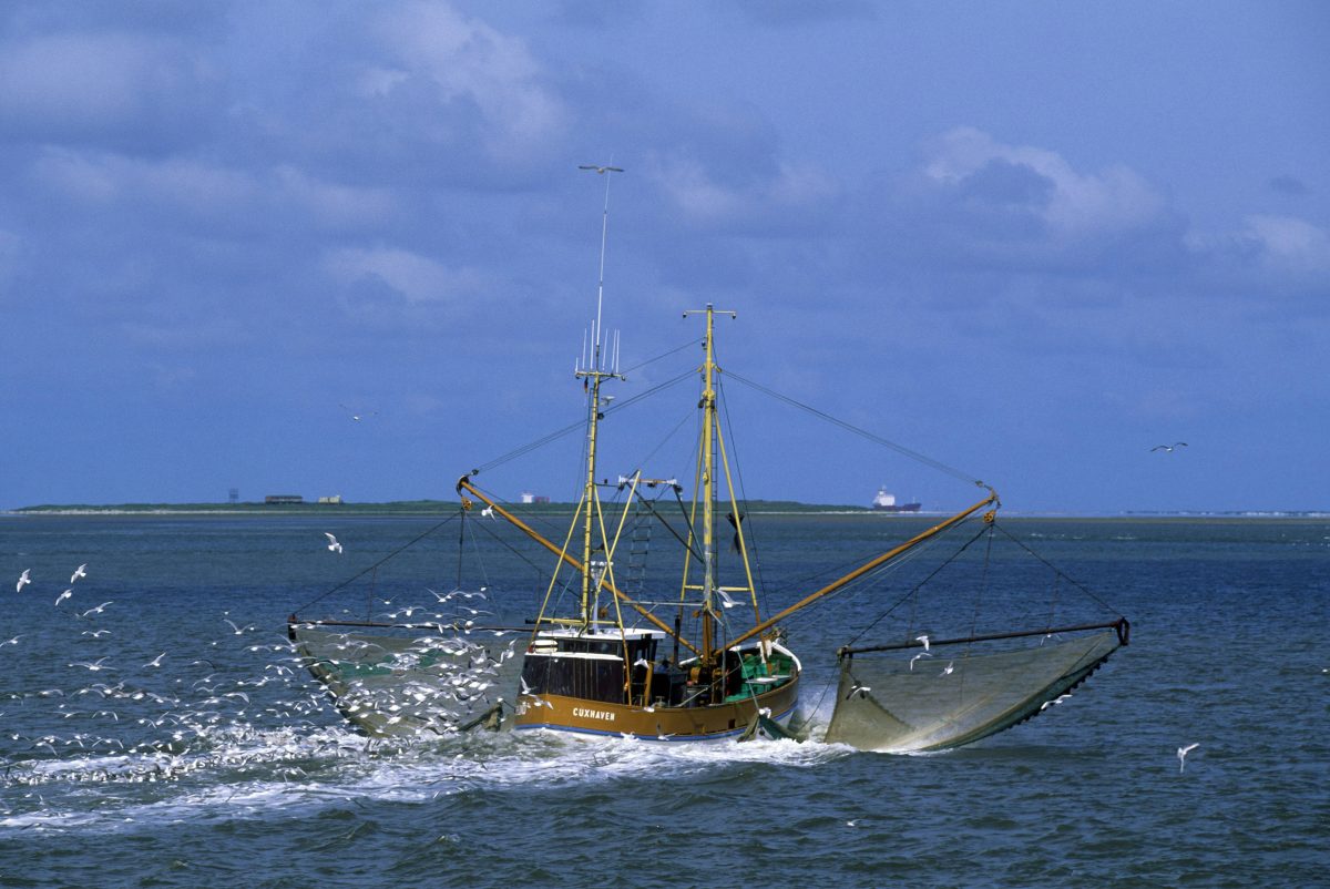 Urlaub an der Nordsee und Ostsee: Preise steigen drastisch an – Fischer in Existenznot