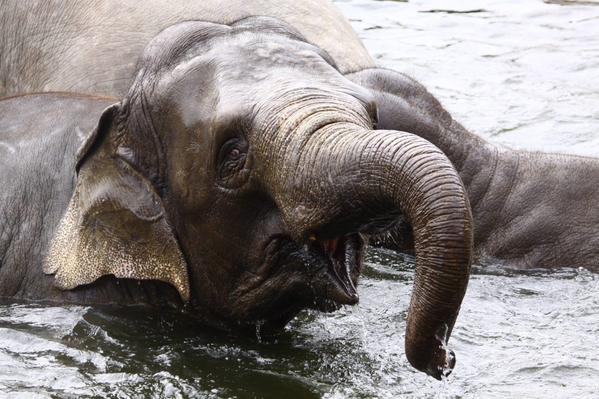 Zoos in NRW mit dringender Warnung an seine Besucher – „Schützt euch“