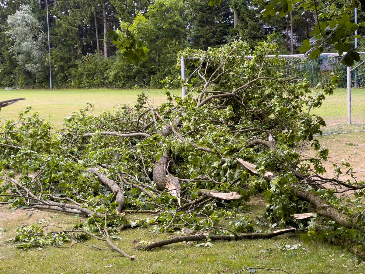 NRW-Tierheim von Sommergewitter verwÃ¼stet