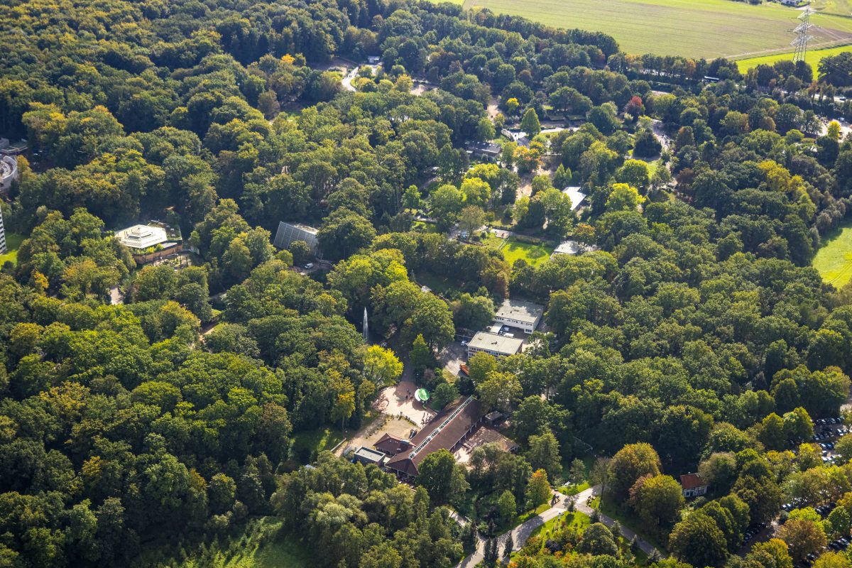 Zoo Dortmund: Überraschung wartet im Gehege – Besucher machen große Augen