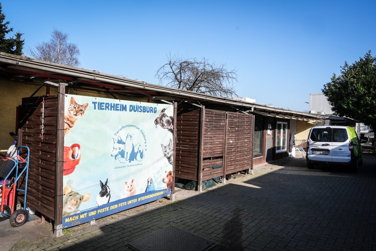 Mitarbeiter des Tierheims Duisburg machten eine üble Entdeckung!