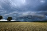 Unwetter-Aufruhr in NRW: War das wirklich ein Tornado? Deutscher Wetterdienst prüft das Phänomen.