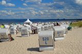 Urlaub an der Ostsee: Plage bedroht Hunde der Touristen