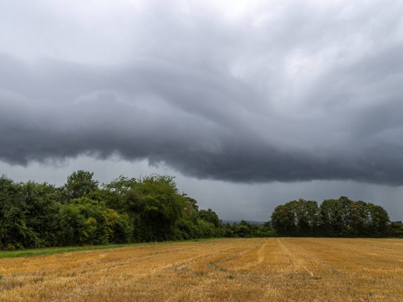 Kühlschrank-Wetter in NRW: Doch plötzlich knallt es richtig