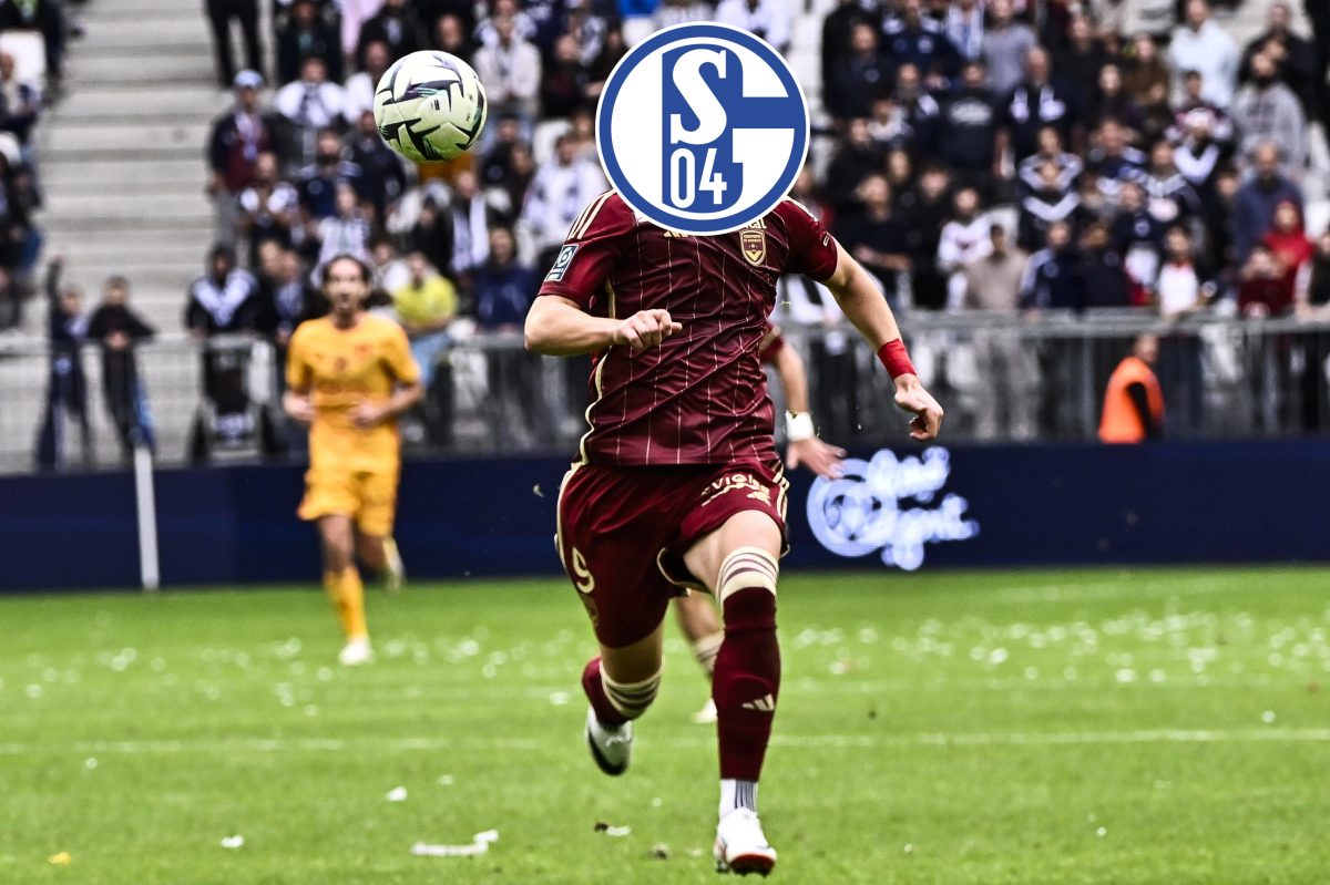 FC Schalke 04: Zwangsabstieg offiziell! Setzt S04 nun zum Transfer-Coup an?