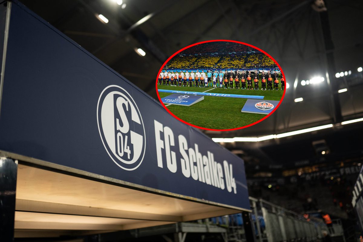 Schalke 04 verkündet Hammer – doch jetzt droht der blanke Fan-Horror