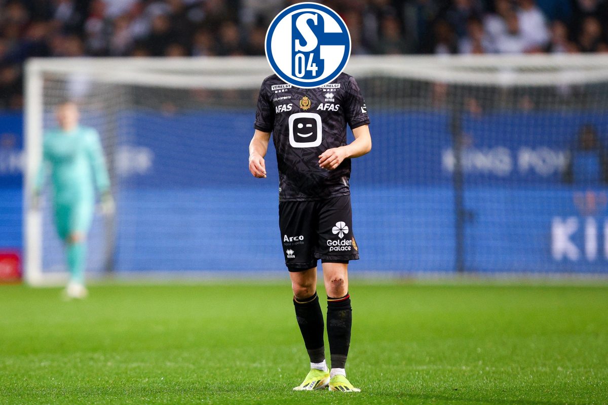 Der FC Schalke 04 bastelt weiter am Kader für die Zukunft. Nun könnte ein Sturm-Juwel aus Belgien der nächste Neuzugang werden.