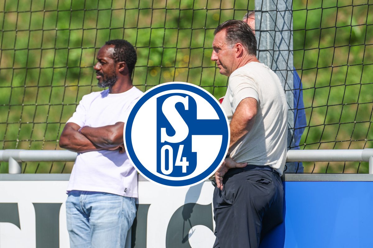 FC Schalke 04: Wilmots mit bitterer Transfer-Verkündung – „So ist die Realität“