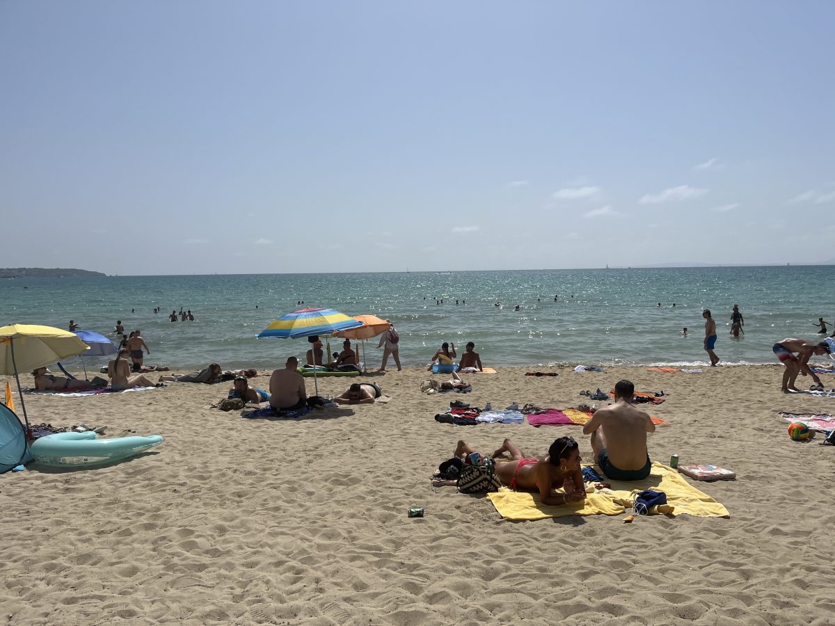 Urlaub auf Mallorca: Touristen liegen am Strand – plötzlich ergreifen sie die Flucht